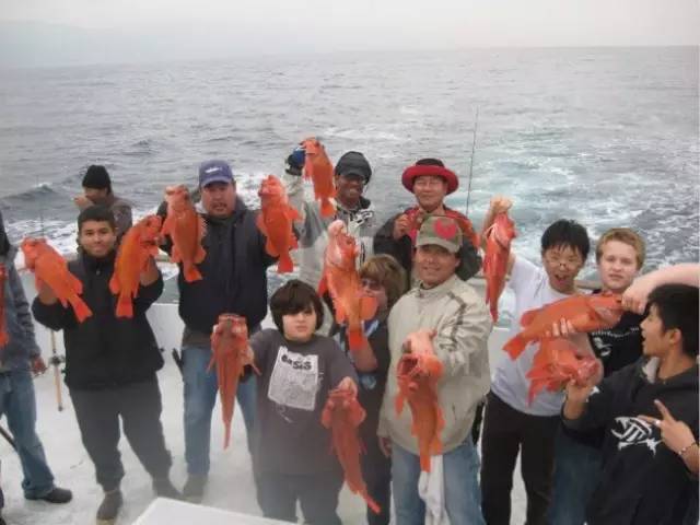 吃货夏季出海游报名 | 小分队喊你出海钓鱼，还能一起抓稀有水系小精灵！